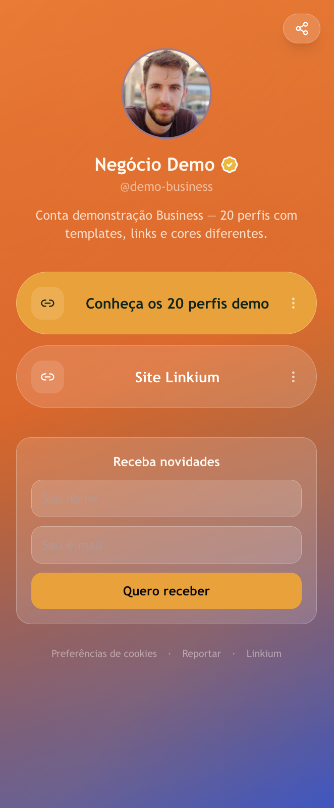 Template Negócio Demo — Vitrine completa Business