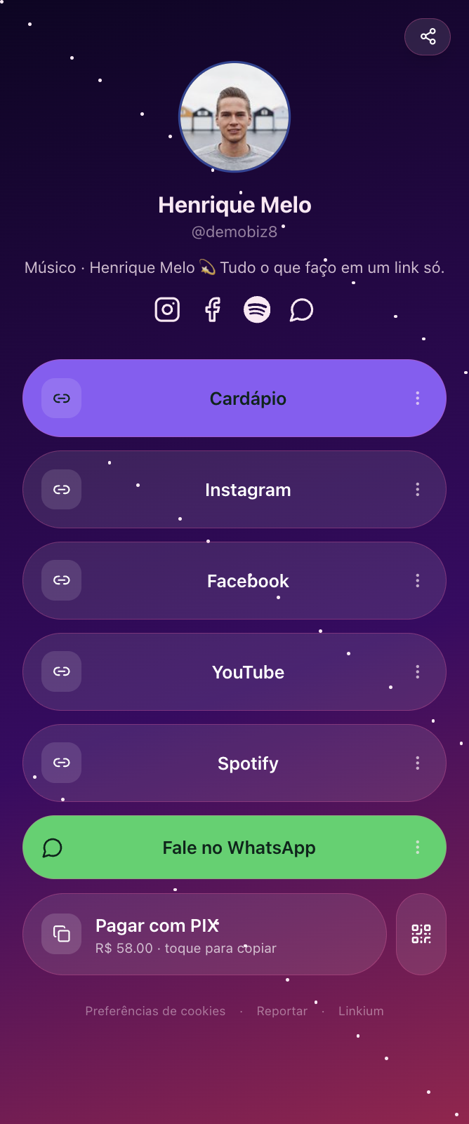 Template Henrique Melo — Músico