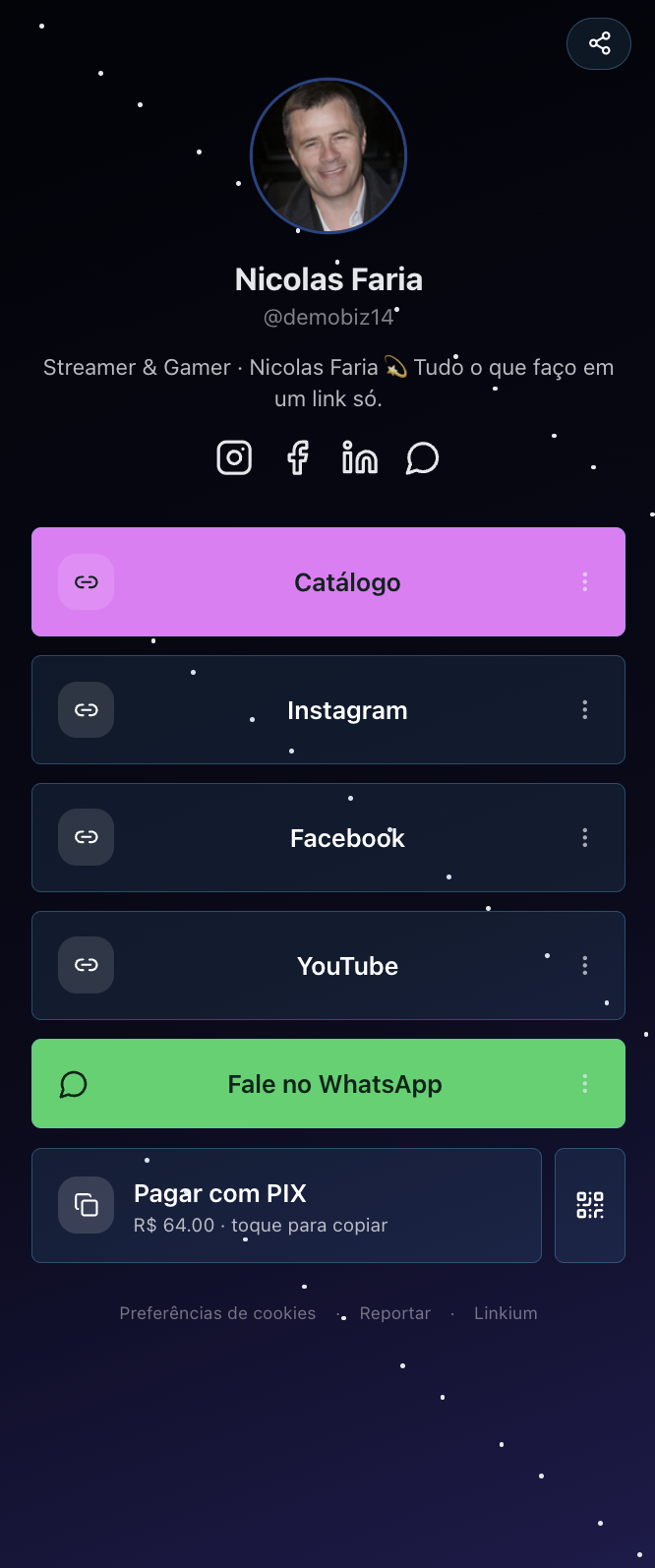 Template Nicolas Faria — Streamer & Gamer